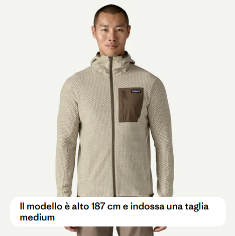Patagonia - M's R1 Aur Full-Zip Hoody - PLCN