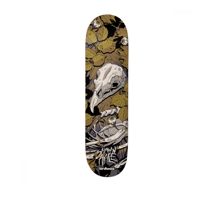 Birdhouse, Birdhouse Pro Deck 8.75 Shawn Hale Tillbrook, , Birdhouse Pro Deck 8.75 Shawn Hale Tillbrook