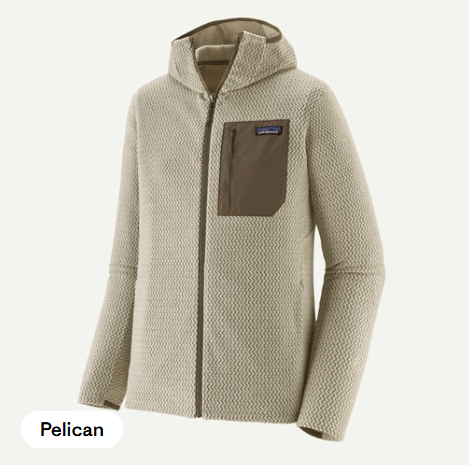 Patagonia, Patagonia - M's R1 Aur Full-Zip Hoody - PLCN, , Patagonia - M's R1 Aur Full-Zip Hoody - PLCN