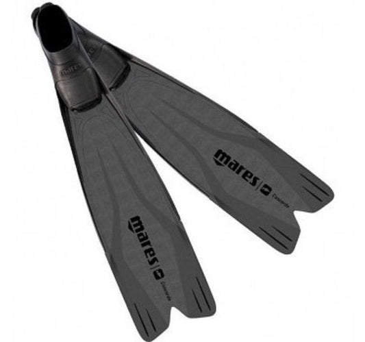 CONCORDE PINNA MARES